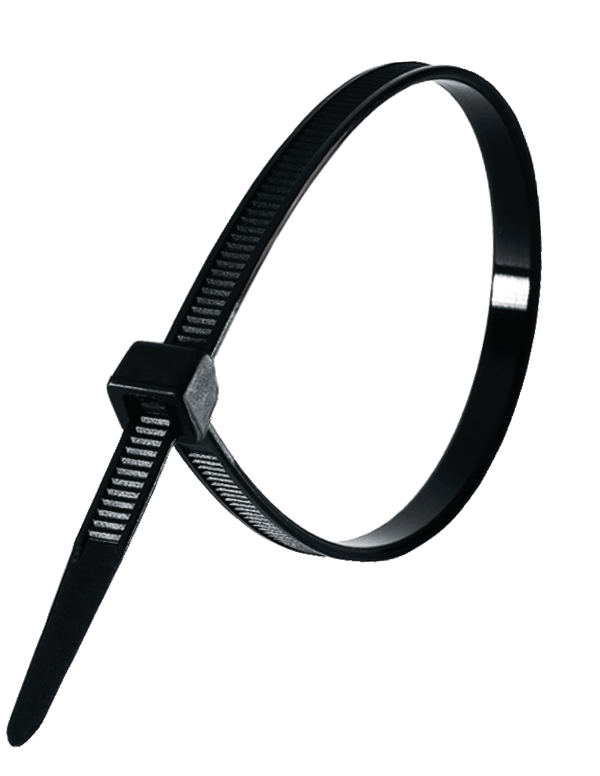 CT1/1B NIGLON Black 200 x 2.5mm 100pk of Cable Ties